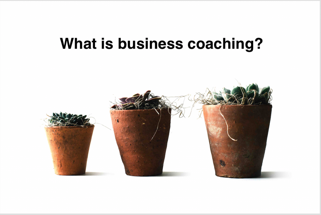 what is business coaching